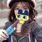 ヒメ日記 2026/07/03 20:02 投稿 しゅうか JAPAN CLUB BUNNY LOUNGE