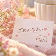 宮本 今日はごめんなさい(´;ω;｀) ANECOTE