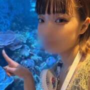ヒメ日記 2026/07/02 01:02 投稿 マリカ 姫路ラビット