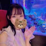 ヒメ日記 2026/07/02 23:31 投稿 ハナビ エピソード(品川)