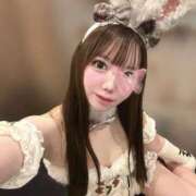 ヒメ日記 2026/07/21 16:01 投稿 るり JAPAN CLUB BUNNY LOUNGE