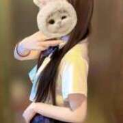 ヒメ日記 2026/08/01 08:50 投稿 るり JAPAN CLUB BUNNY LOUNGE
