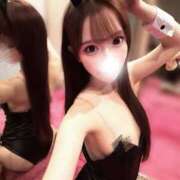 ヒメ日記 2026/09/04 20:36 投稿 るり JAPAN CLUB BUNNY LOUNGE