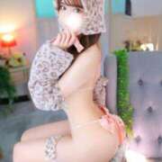 ヒメ日記 2026/10/20 16:39 投稿 るり JAPAN CLUB BUNNY LOUNGE