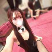ヒメ日記 2026/10/22 11:30 投稿 るり JAPAN CLUB BUNNY LOUNGE