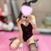 ヒメ日記 2026/10/11 00:31 投稿 ひな JAPAN CLUB BUNNY LOUNGE
