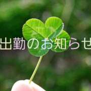 ヒメ日記 2026/07/29 19:56 投稿 白石 湊 五十路マダム姫路店