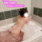 ヒメ日記 2026/09/20 18:48 投稿 あお 横浜関内人妻城