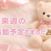 ヒメ日記 2026/08/29 18:44 投稿 つくし 一宮稲沢小牧ちゃんこ