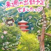 ヒメ日記 2026/09/25 18:49 投稿 つくし 一宮稲沢小牧ちゃんこ