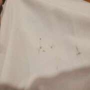 ヒメ日記 2026/08/07 07:01 投稿 こうめ 熟女総本店 堺東店