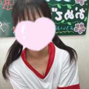 ヒメ日記 2026/07/21 09:45 投稿 みに 水戸女学院PTA
