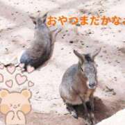 ヒメ日記 2026/08/15 07:59 投稿 野田 つばさ ほっこりーヌ谷九店
