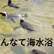 ヒメ日記 2026/08/27 09:35 投稿 野田 つばさ ほっこりーヌ谷九店