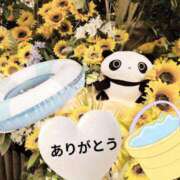 ヒメ日記 2026/08/27 09:42 投稿 野田 つばさ ほっこりーヌ谷九店