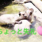 ヒメ日記 2026/08/31 11:21 投稿 野田 つばさ ほっこりーヌ谷九店
