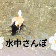 ヒメ日記 2026/09/21 10:17 投稿 野田 つばさ ほっこりーヌ谷九店