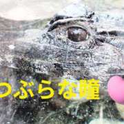 ヒメ日記 2026/09/24 10:19 投稿 野田 つばさ ほっこりーヌ谷九店