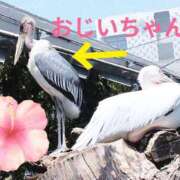 ヒメ日記 2026/09/26 10:26 投稿 野田 つばさ ほっこりーヌ谷九店