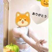 ヒメ日記 2026/09/26 11:42 投稿 野田 つばさ ほっこりーヌ谷九店