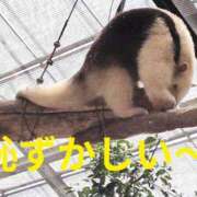 ヒメ日記 2026/10/03 07:53 投稿 野田 つばさ ほっこりーヌ谷九店