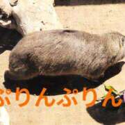 ヒメ日記 2026/10/04 19:21 投稿 野田 つばさ ほっこりーヌ谷九店