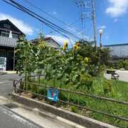 ヒメ日記 2026/08/18 11:58 投稿 ちひろ One More奥様　横浜関内店