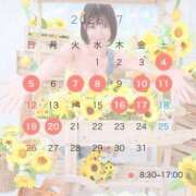 ヒメ日記 2026/06/30 16:06 投稿 花山　ななせ 響-HIBIKI-