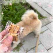ヒメ日記 2026/07/05 16:14 投稿 花山　ななせ 響-HIBIKI-
