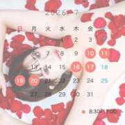 ヒメ日記 2026/07/10 11:55 投稿 花山　ななせ 響-HIBIKI-