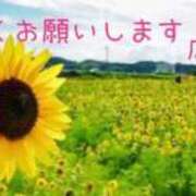 ヒメ日記 2026/07/12 19:05 投稿 広瀬もえ(ひろせもえ) 九州熟女　八代店