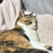ヒメ日記 2026/07/09 12:15 投稿 なぎ キスMy