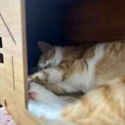 ヒメ日記 2026/08/12 11:06 投稿 なぎ キスMy