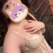 ヒメ日記 2026/07/28 07:54 投稿 ねこ スイカ
