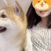 ヒメ日記 2026/08/02 06:59 投稿 ねこ スイカ