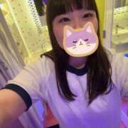 ヒメ日記 2026/08/09 11:02 投稿 ねこ スイカ