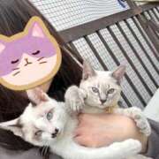 ヒメ日記 2026/08/18 07:02 投稿 ねこ スイカ