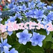 ヒメ日記 2026/07/07 00:20 投稿 柚木 西船橋おかあさん