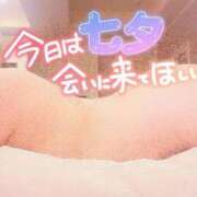 ヒメ日記 2026/07/07 11:30 投稿 柚木 西船橋おかあさん