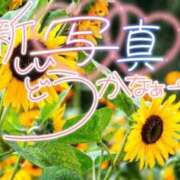 ヒメ日記 2026/07/07 16:10 投稿 柚木 西船橋おかあさん