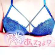 ヒメ日記 2026/07/07 19:03 投稿 柚木 西船橋おかあさん