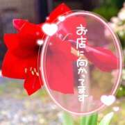 ヒメ日記 2026/07/12 10:03 投稿 柚木 西船橋おかあさん