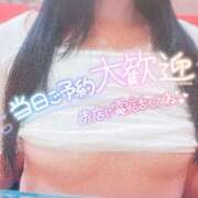 ヒメ日記 2026/07/14 07:20 投稿 柚木 西船橋おかあさん