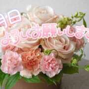 ヒメ日記 2026/07/16 12:01 投稿 柚木 西船橋おかあさん