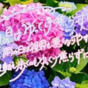 ヒメ日記 2026/07/17 12:20 投稿 柚木 西船橋おかあさん
