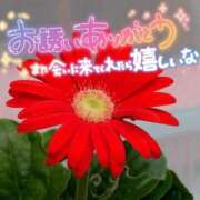 ヒメ日記 2026/07/17 21:56 投稿 柚木 西船橋おかあさん