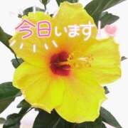 ヒメ日記 2026/07/19 09:50 投稿 柚木 西船橋おかあさん