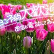 ヒメ日記 2026/07/20 09:40 投稿 柚木 西船橋おかあさん