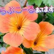 ヒメ日記 2026/07/21 18:00 投稿 柚木 西船橋おかあさん