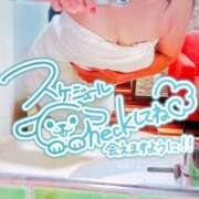 ヒメ日記 2026/07/13 07:05 投稿 柚木 松戸おかあさん
